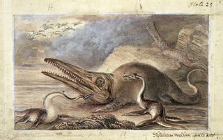 Illustration for article titled Strange 19th Century Drawings of Dinosaurs and Other Extinct Animals